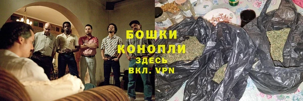 PSILOCYBIN Бородино